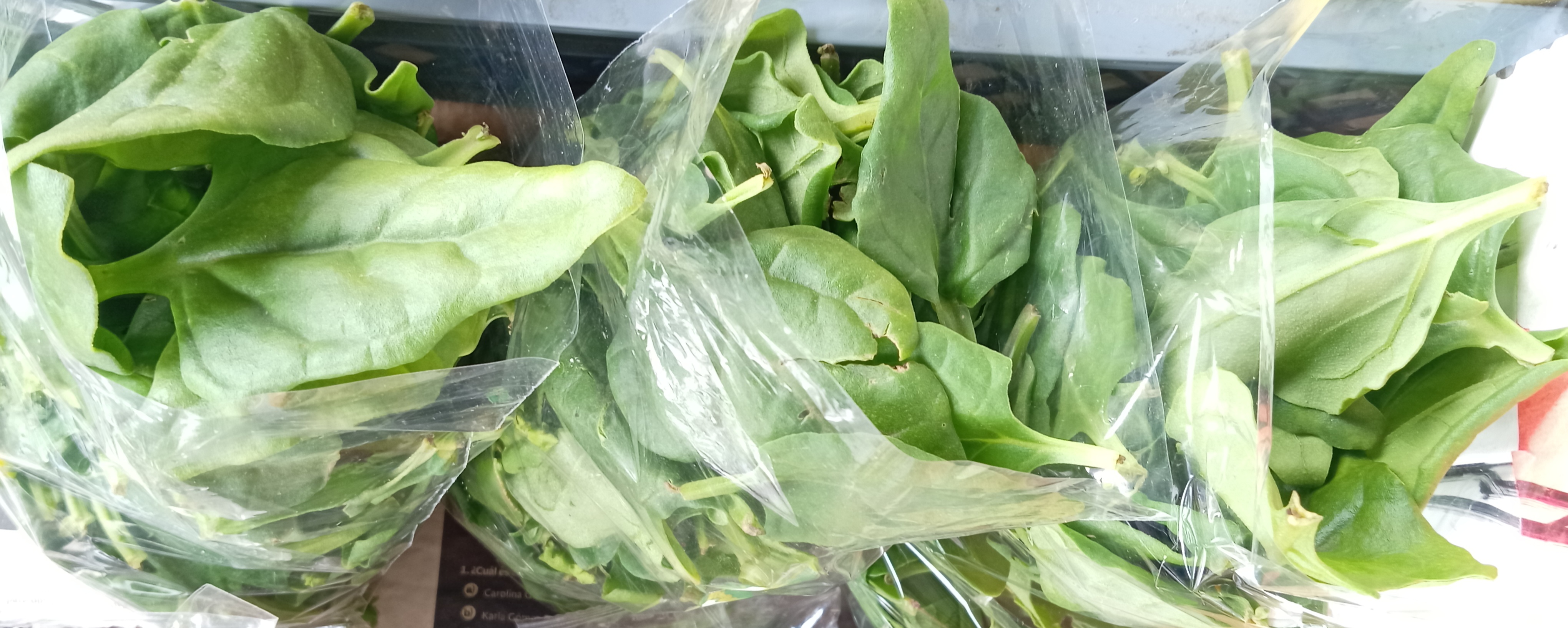 Espinaca