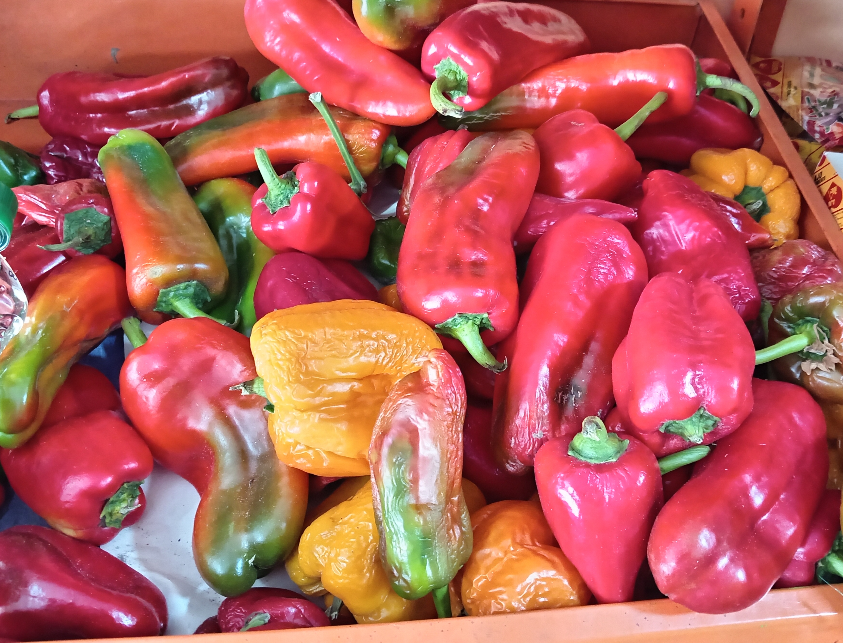 Pimiento rojo