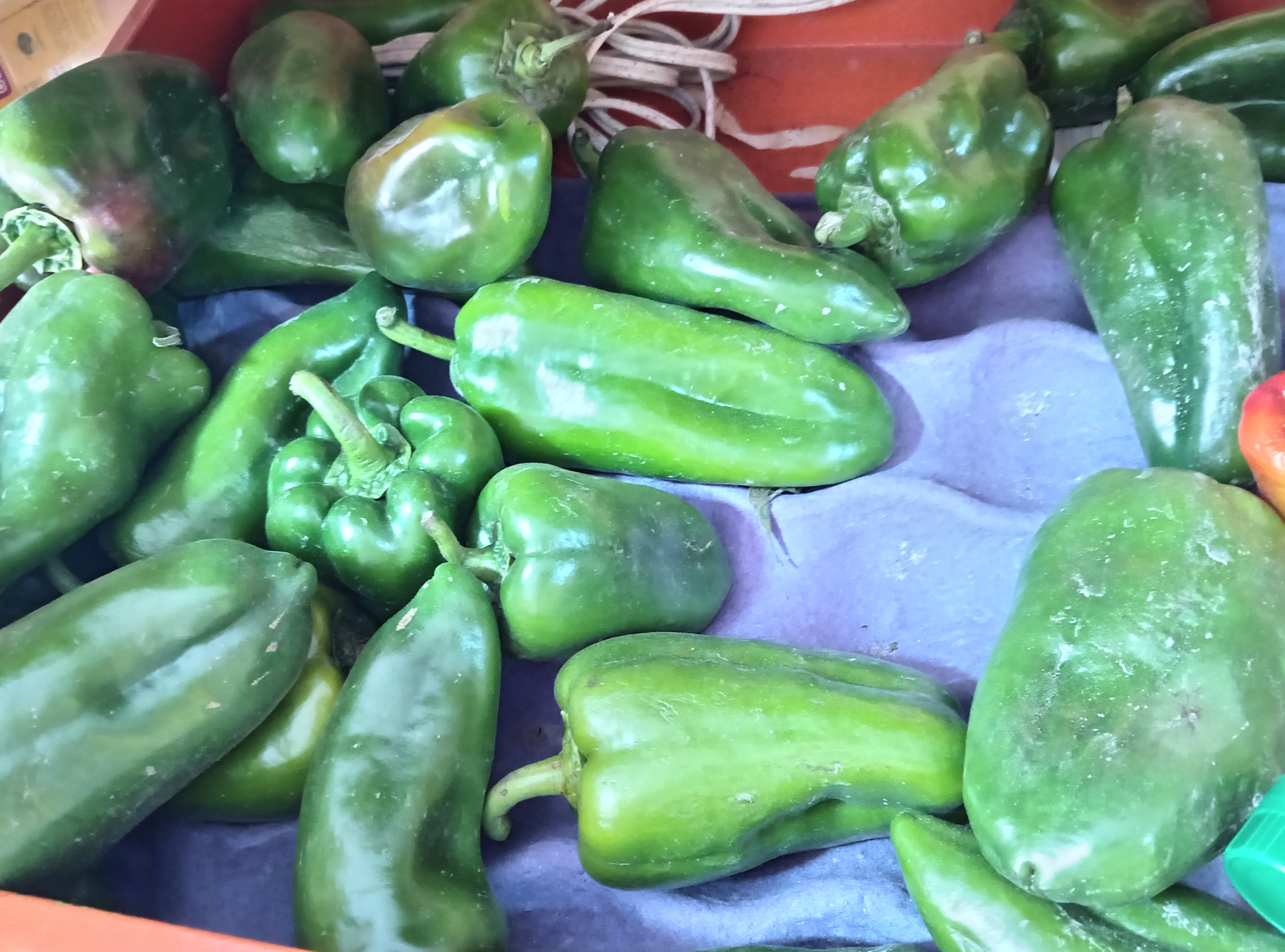 Pimiento verde