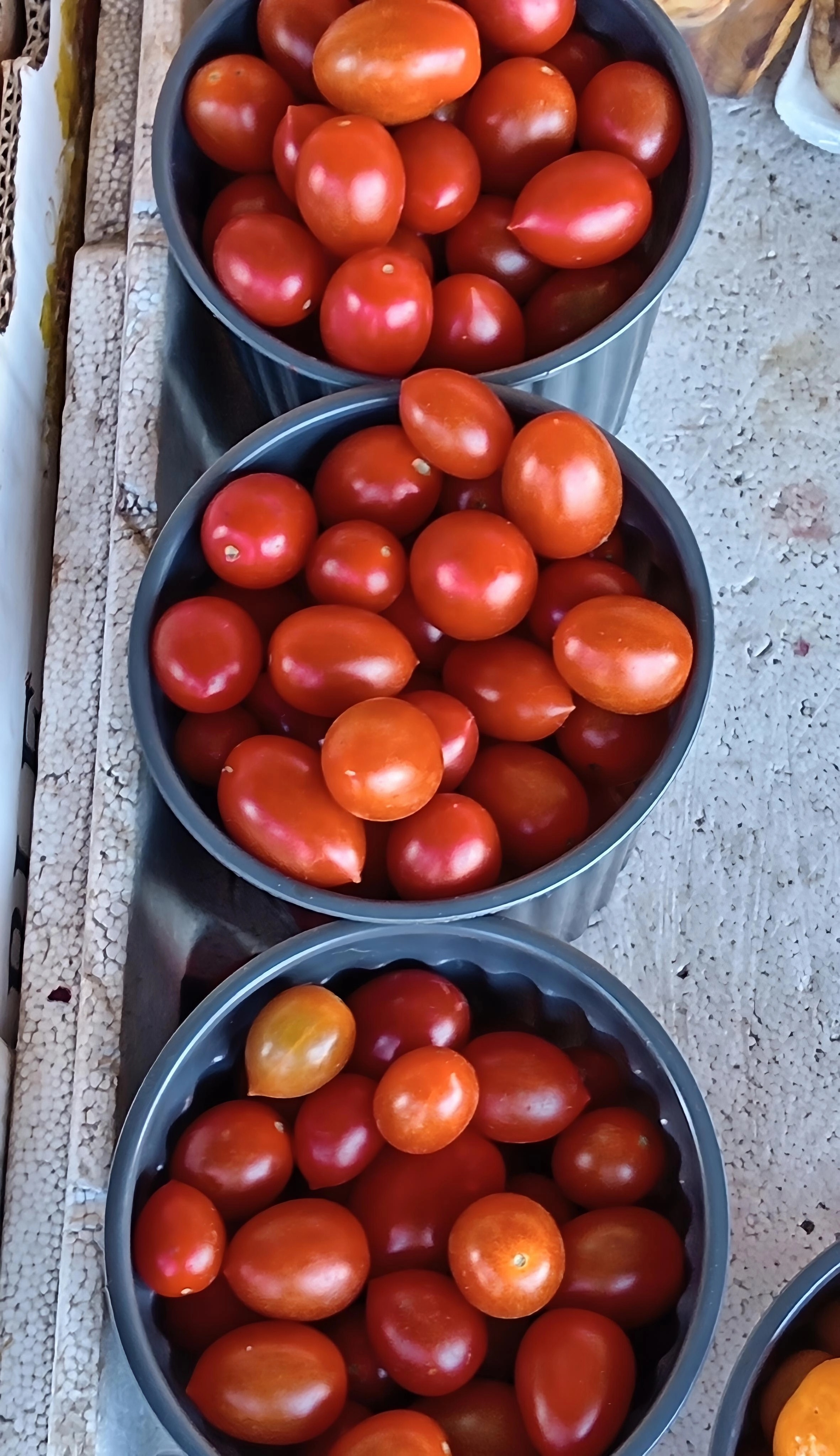 Tomate cherry