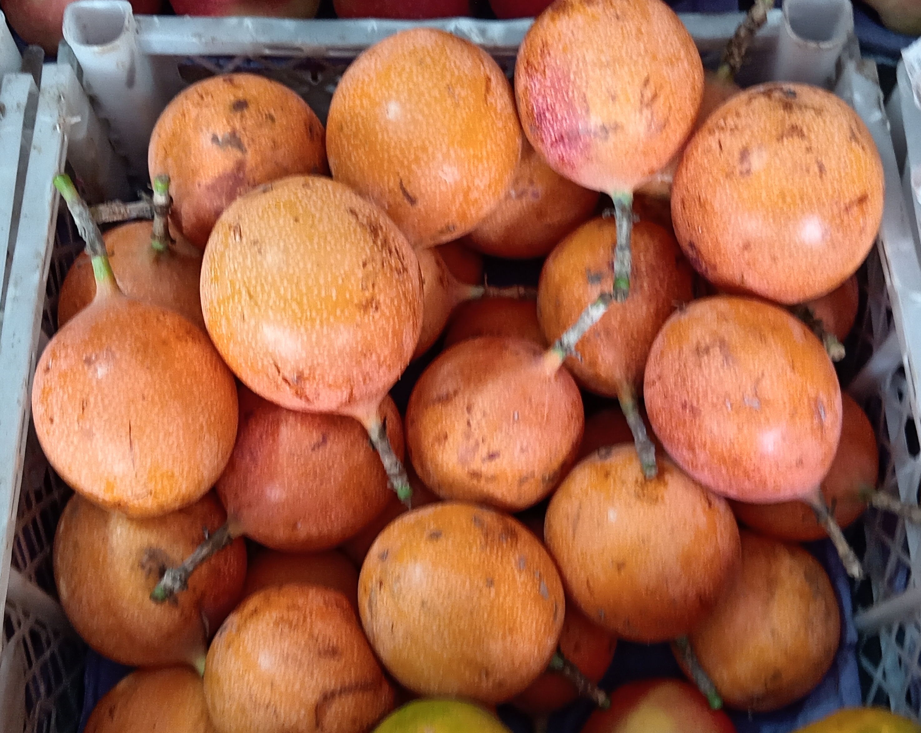 Granadilla