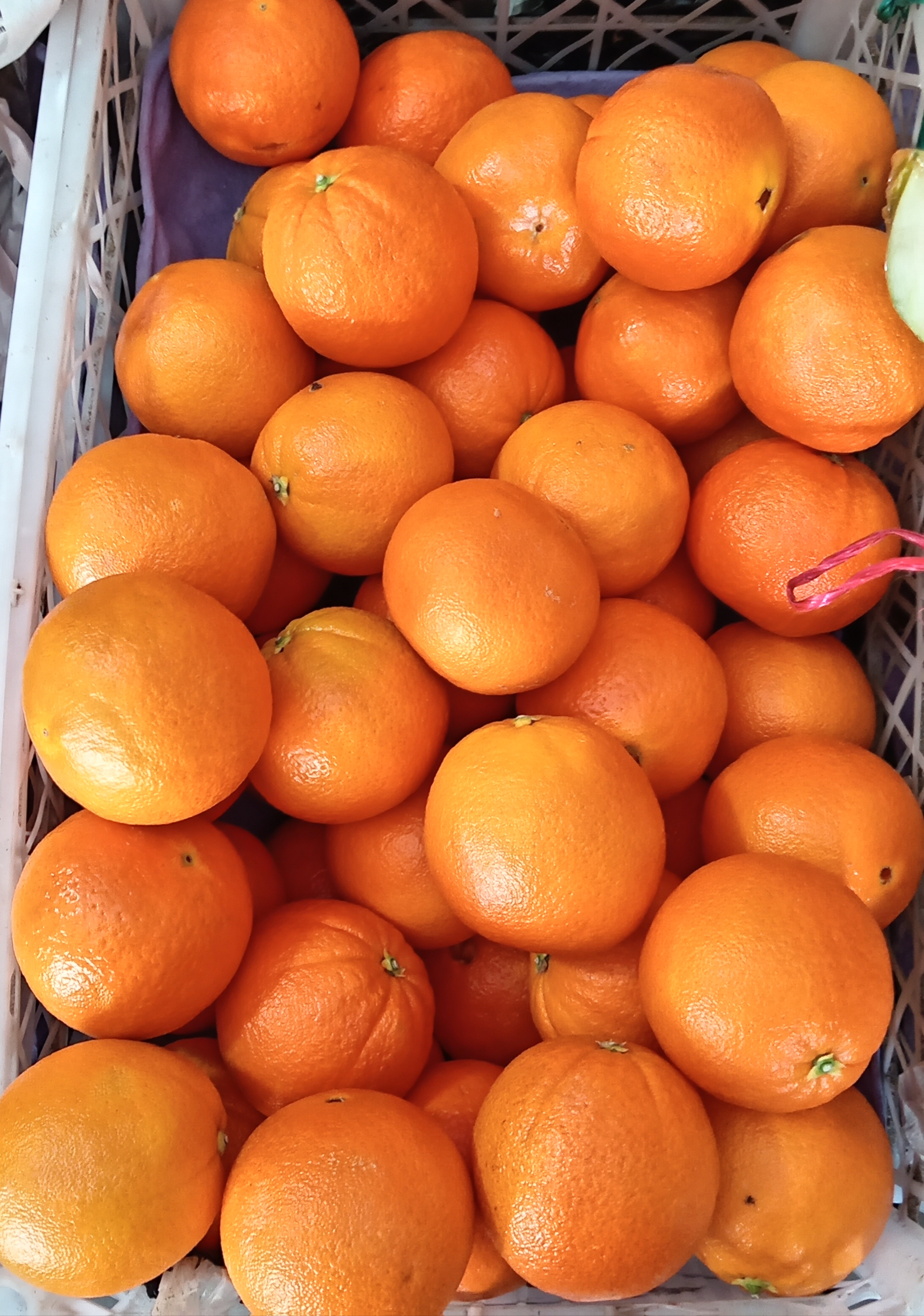 Mandarina/clementina