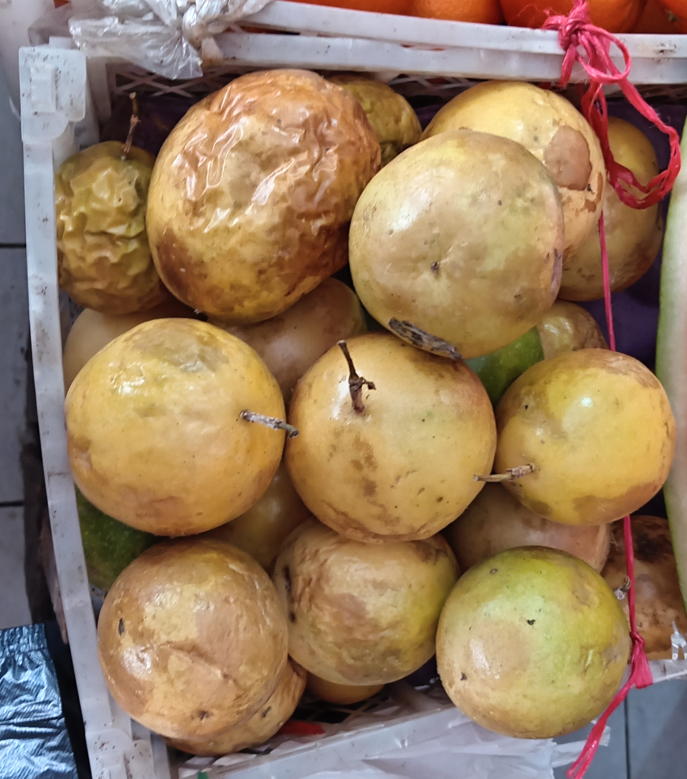 Maracuya