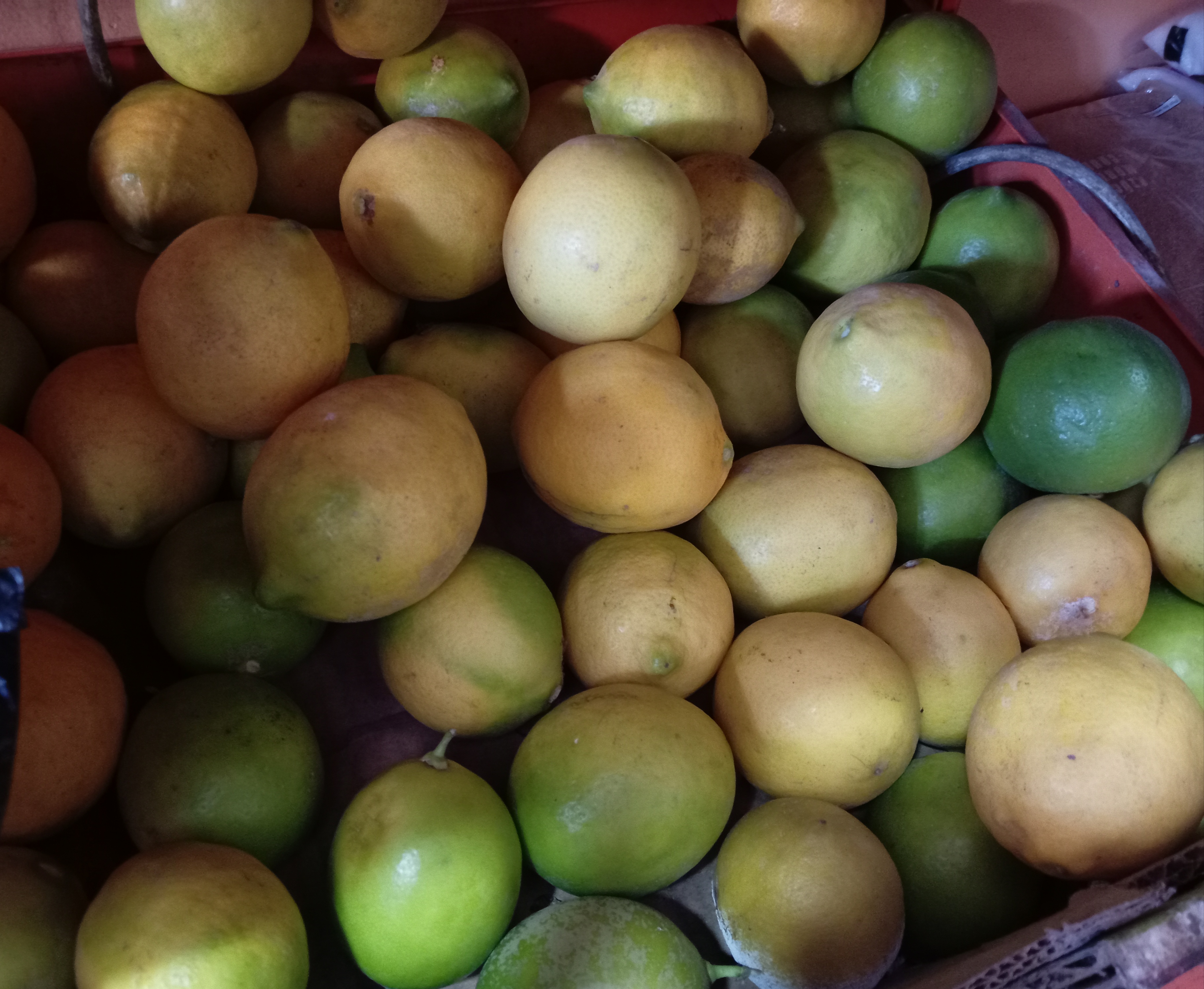 Limón