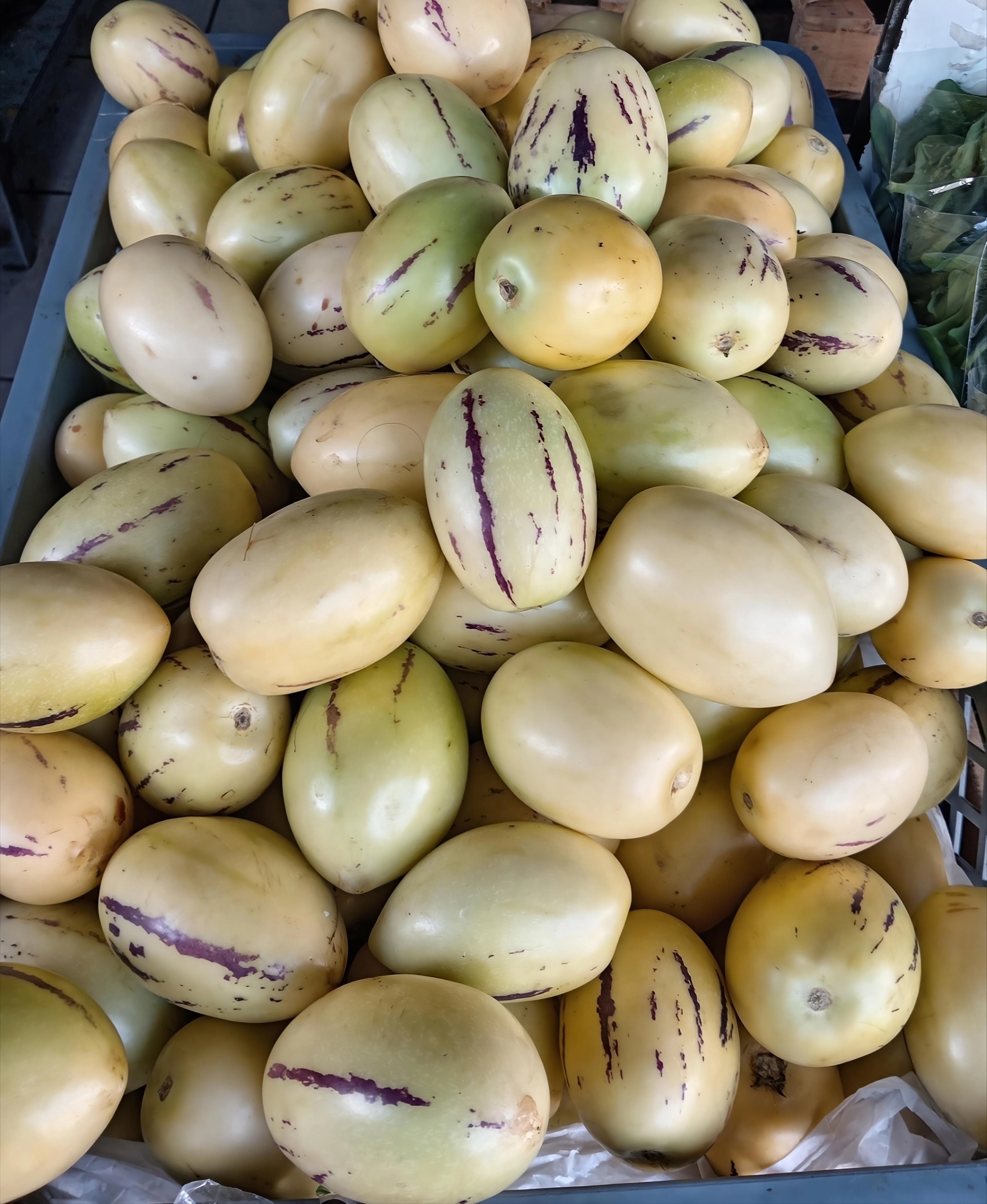 Pepino