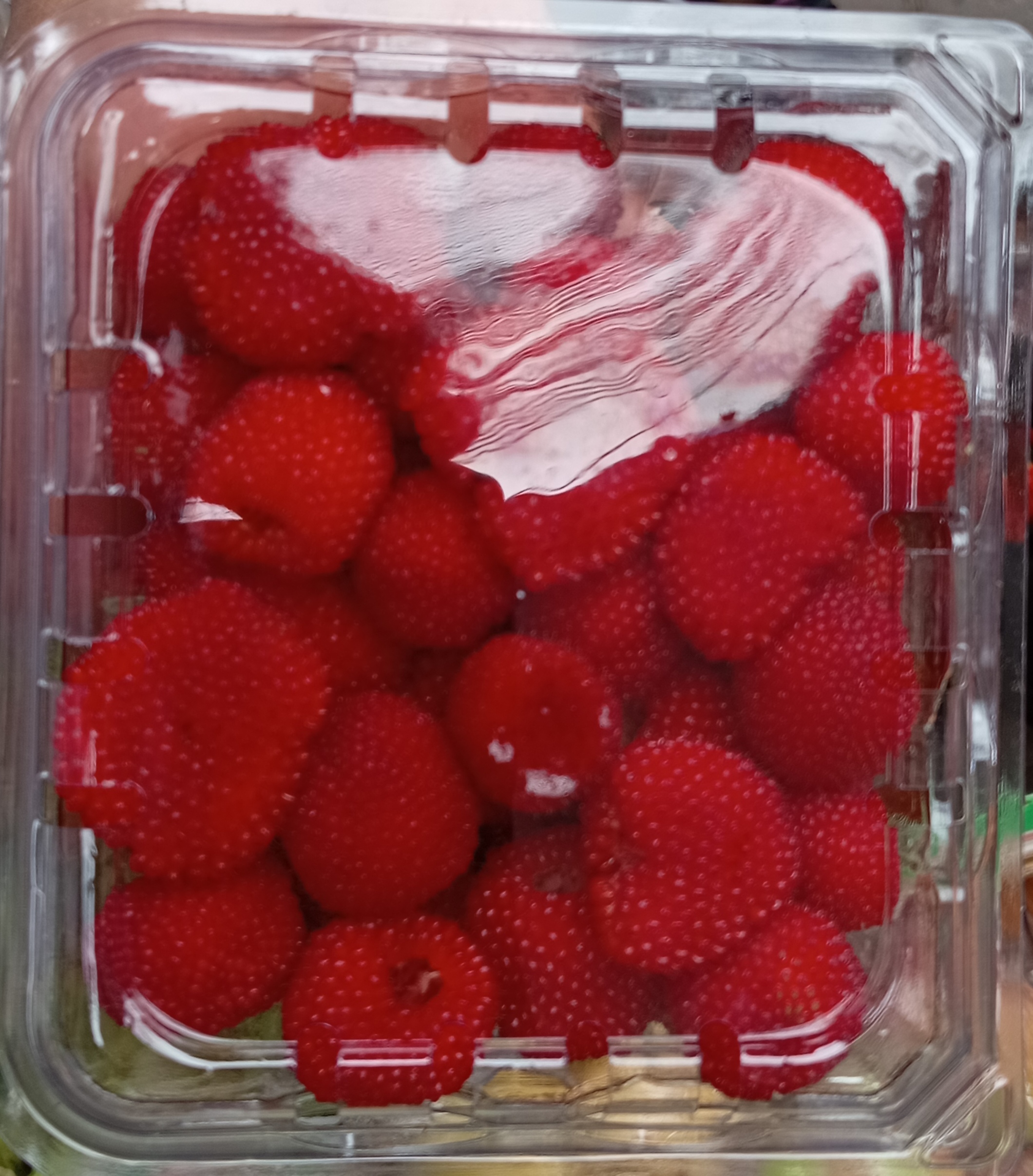 Fresas silvestres